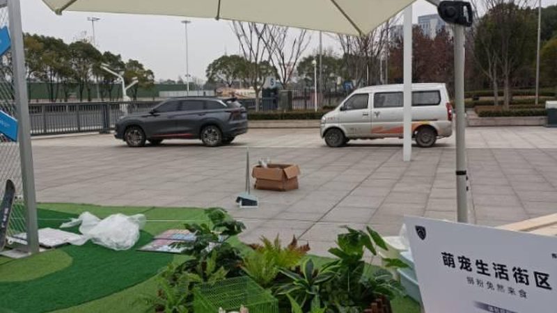 农村庆典舞台尺寸材质选择指南：如何打造一场视觉盛宴